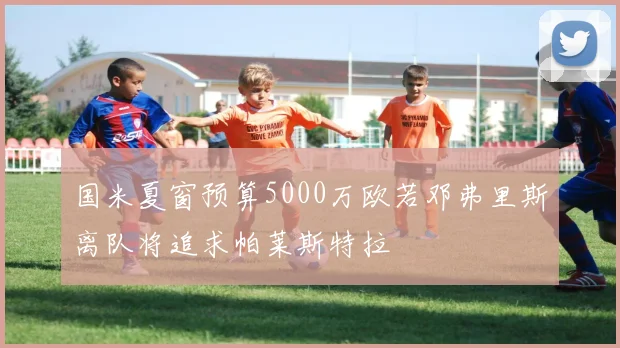 国米夏窗预算5000万欧若邓弗里斯离队将追求帕莱斯特拉