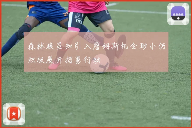 森林狼虽知引入詹姆斯机会渺小仍积极展开招募行动