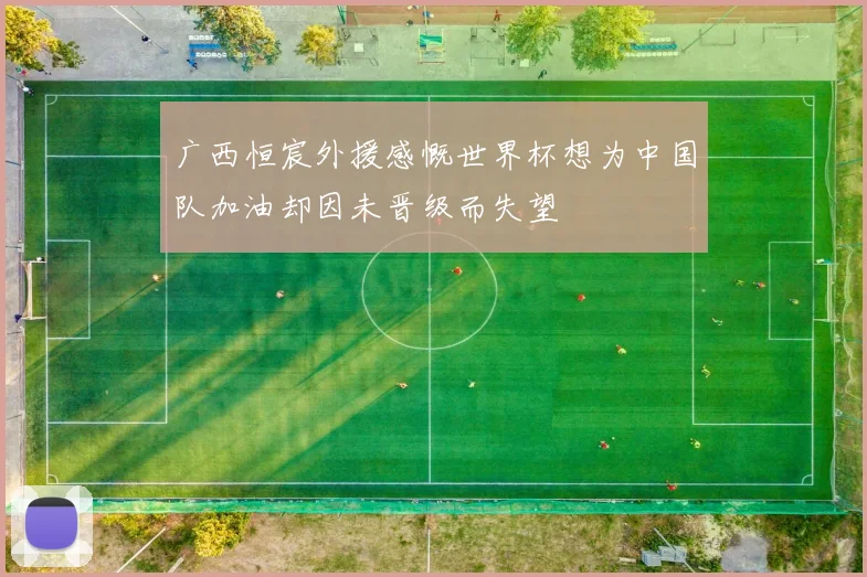 广西恒宸外援感慨世界杯想为中国队加油却因未晋级而失望