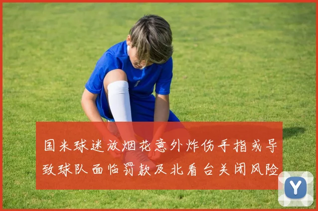 国米球迷放烟花意外炸伤手指或导致球队面临罚款及北看台关闭风险