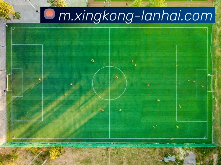 星空体育平台生态图